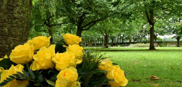 Yellow roses left in memoriam